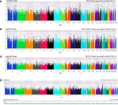 Genetic Variants Relate to Fasting Plasma Glucose, 2-Hour Postprandial Glucose, Glycosylated Hemoglobin, and BMI in Prediabetes